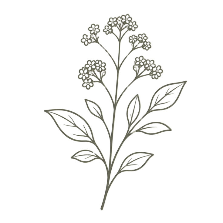 Line drawing of a floral branch with leaves on a white background