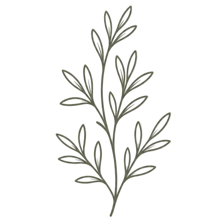Simple line drawing of a leafy branch on a white background