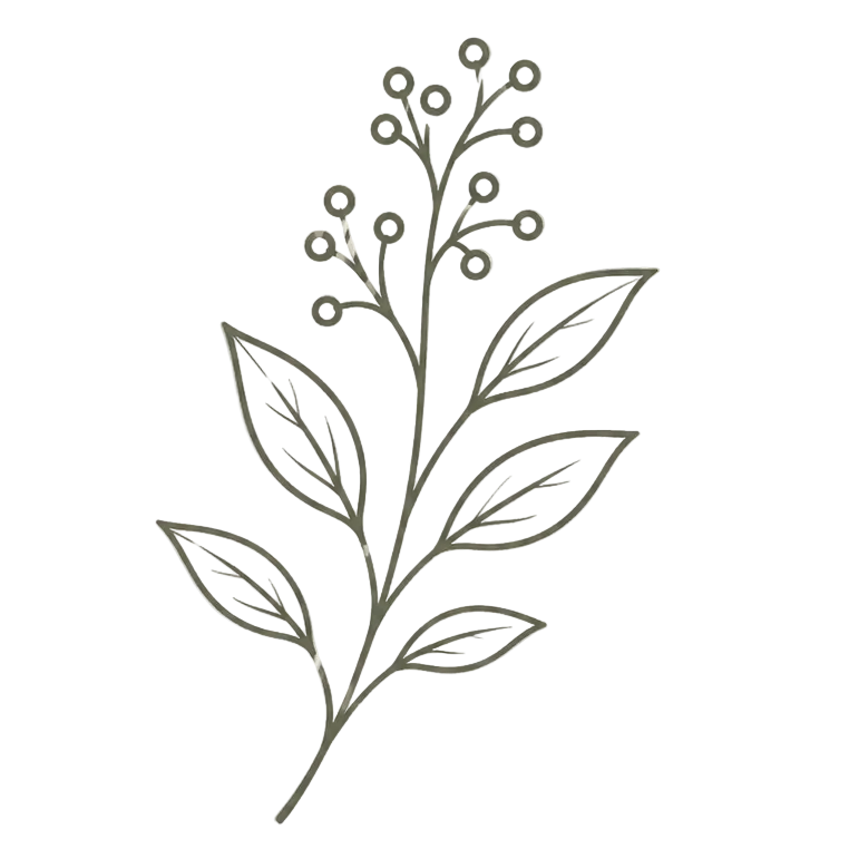 Simple line drawing of a leafy branch on a beige background