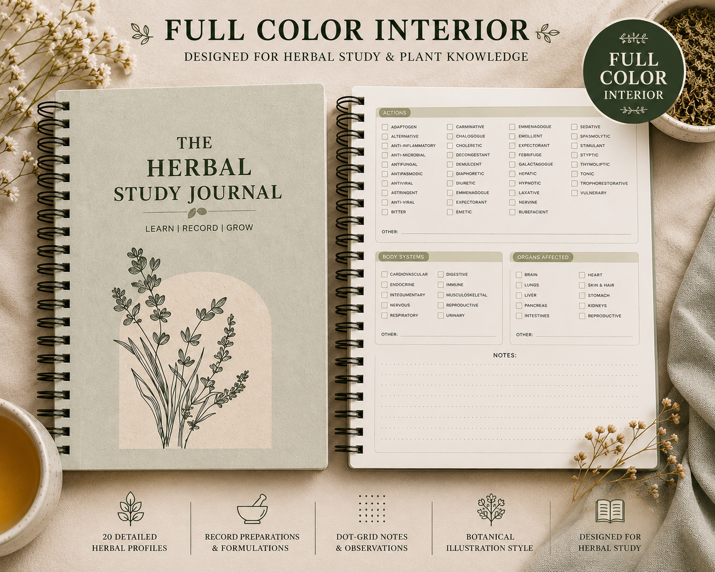 Full color herbal study journal interior showing guided herb profile and materia medica pages