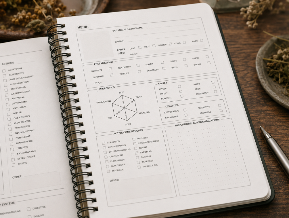 Open herbal study journal showing guided herb profile and materia medica pages